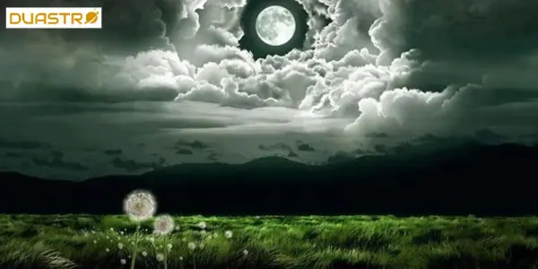 Lunar Rituals and Astrological Plant Influence